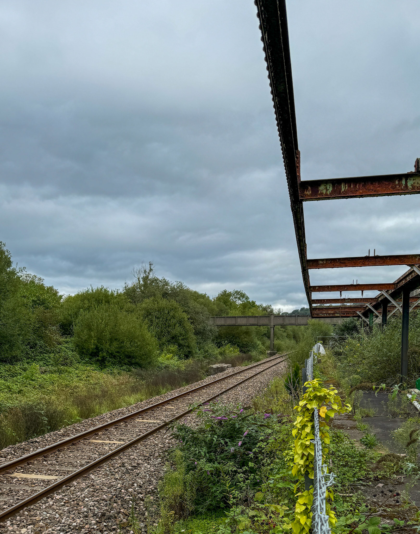 2024 Seaton Junction Site visit - 22