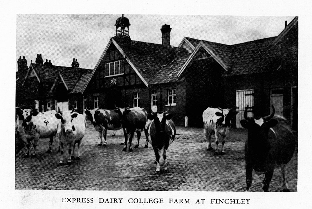 1954 College Farm, Finchley. (Express Salesman's Manual Fourth Edition)