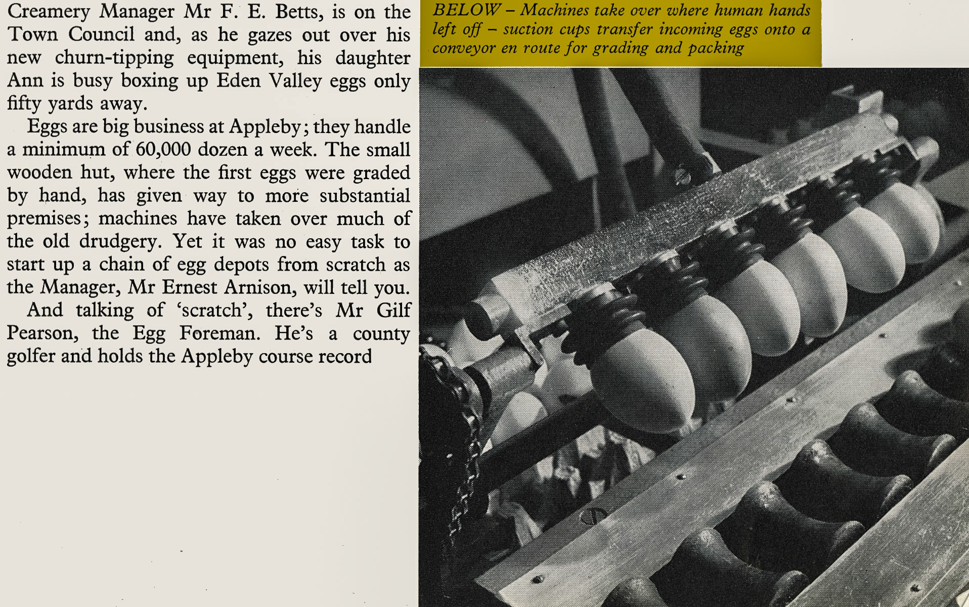 1959 Eggs are big business at Appleby, as told by Manager Ernest Arnison and Foreman Gilf Pearson.  (Express News December)