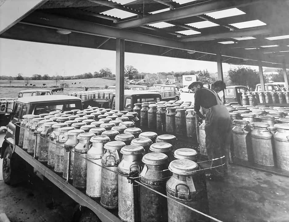 1950's Churn collection at Chard Junction. (Courtesy Terry Barge)
