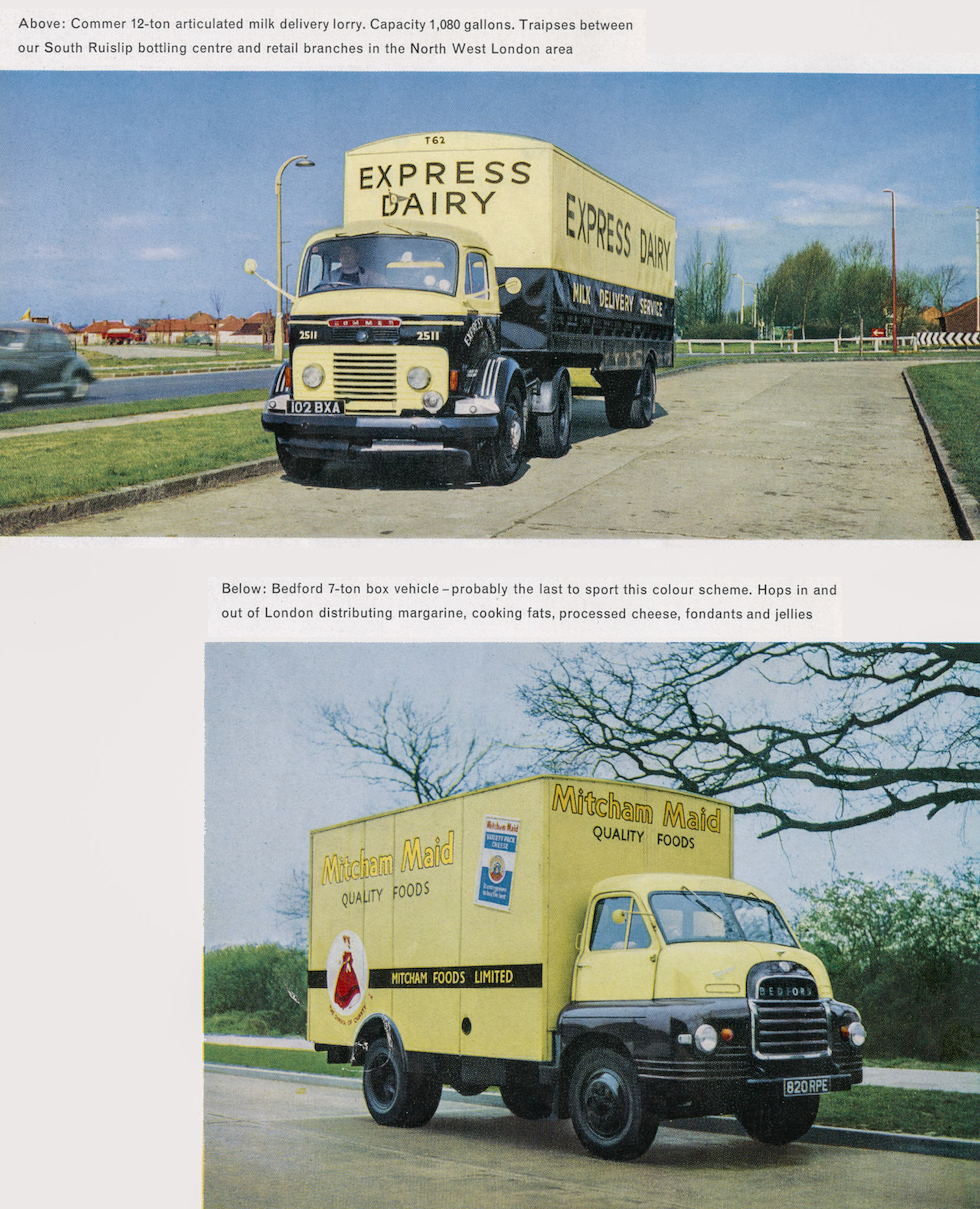 1961 Transport Album by Transport Director R. Harvey. (Express News Summer)