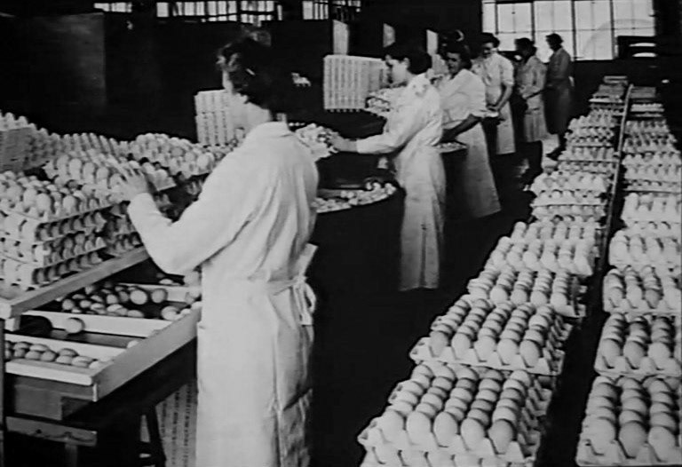 1930s Express started packing eggs. (Express 125 Years video still)