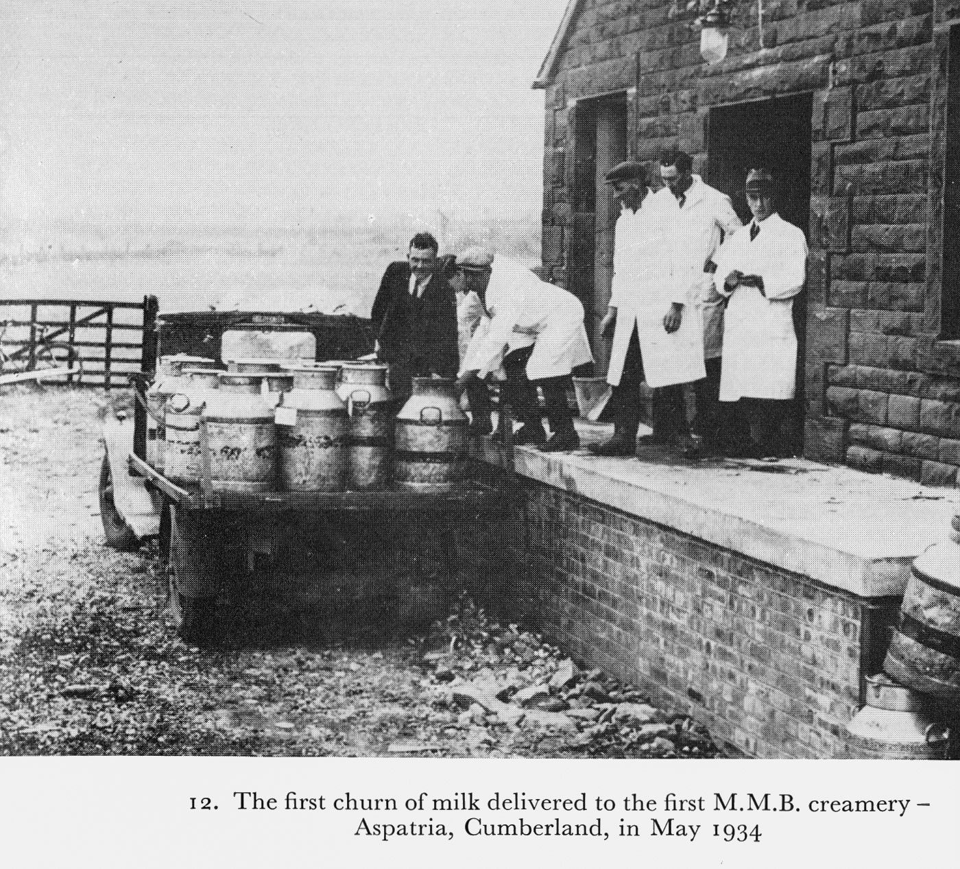 1973 Illustrations from 'Milk to Market', Stanley Baker