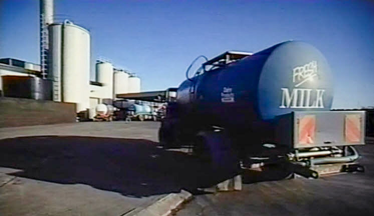 1990's Ruyton Milk Reception (Stills from Ruyton Video (Steven Harley))