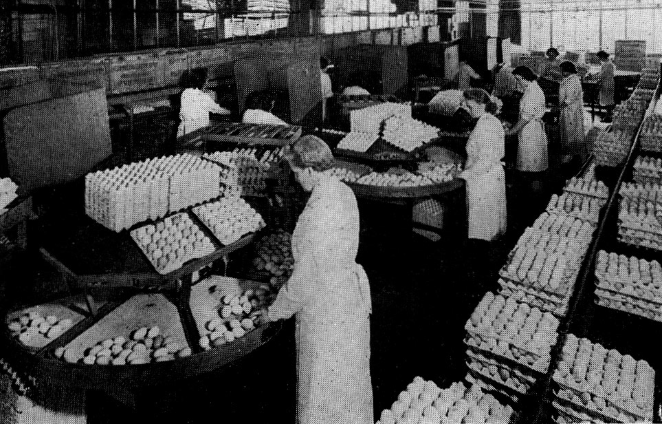 1954 Express Appleby Egg Packing Station. Vera Shuttleworth comments "I can see my mum, Nora Bowman, second from right." (Express Salesman's Manual Fourth Edition)