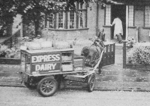 Horse-drawn float. (Courtesy Richard Gaylard)