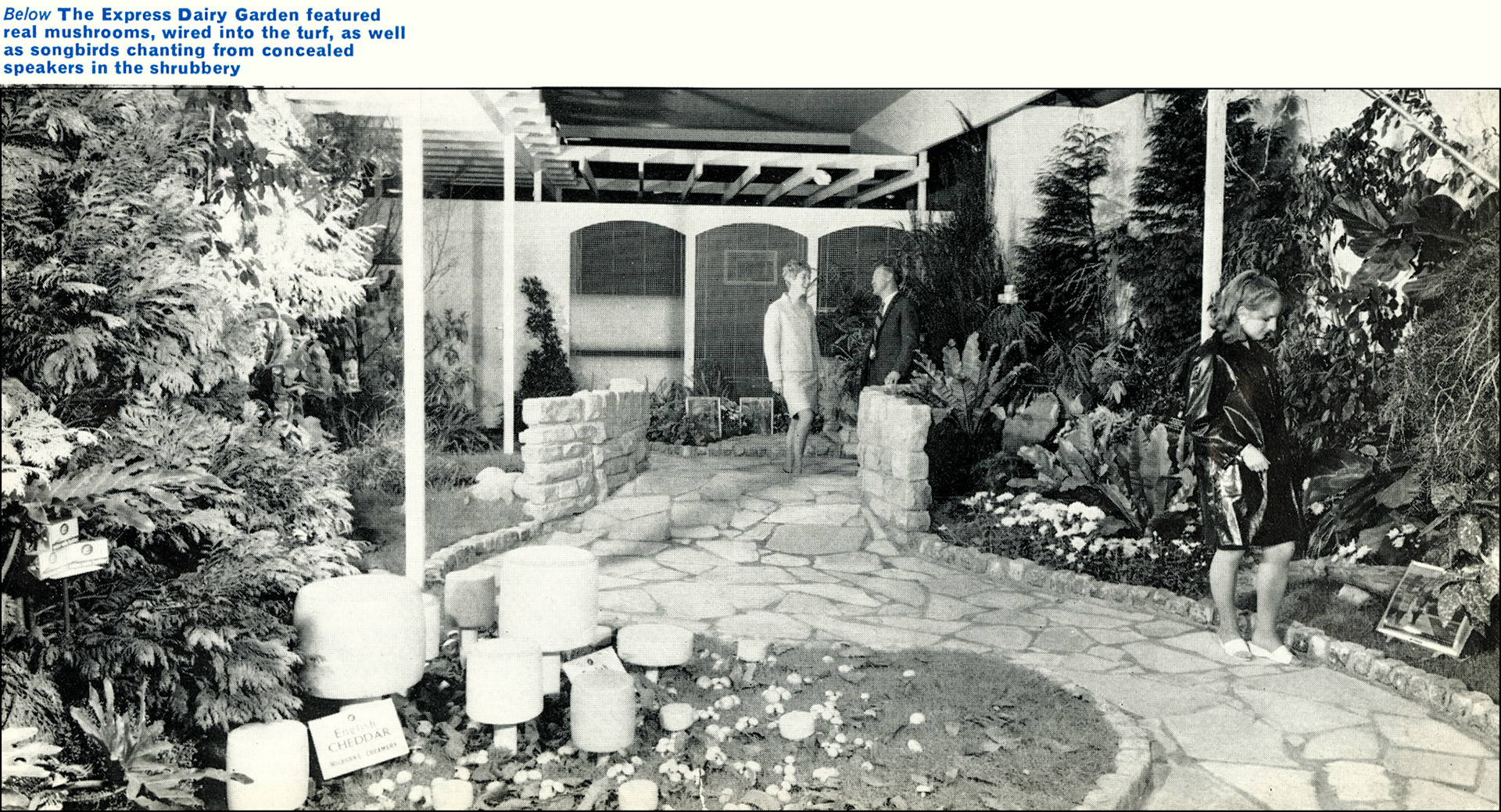 1967 Royal Dairy Show, Express garden. (Express News Christmas)