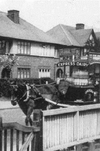 Horse-drawn milk cart in Kenton, 1954. [Photograph courtesy of Angela Rumsey] (Courtesy Philip Grant, Wembley History Society)