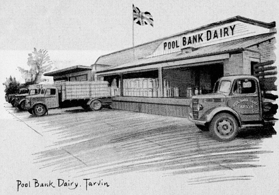 1957 Tarvin-Pen &amp; ink drawing of Pool Bank Dairy in Tarvin