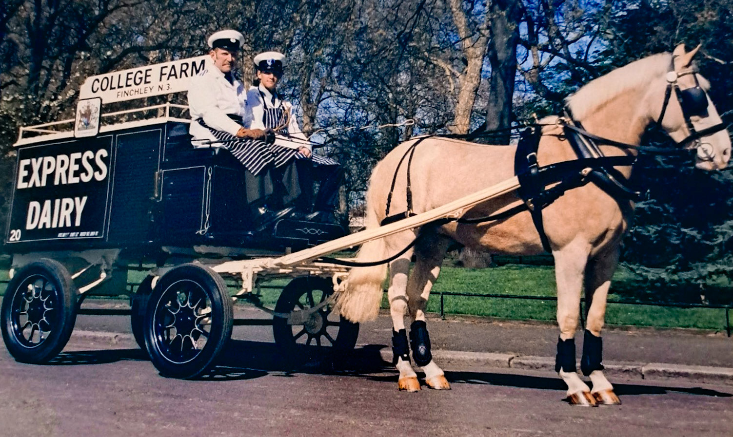 1998 Battersea Park. Linda Willmott writes "This was the Milk Cart I rescued from rotting away in the garage at Nine Elms where I worked at the time. It was in a very delipidated state when I acquired it. Myself and my husband spent a considerable amount of money restoring it. We found an elderly gentleman in Waltham Abbey who undertook the work. The tyres were bought from Beaurley (only place around), the Royal Crests were the hardest to find but we managed it. We were in the Lords Mayor's parade for 4 years, and won first prize at Battersea. We eventually sold it to a gentleman in Buckinghamshire." (Courtesy Linda Willmott)