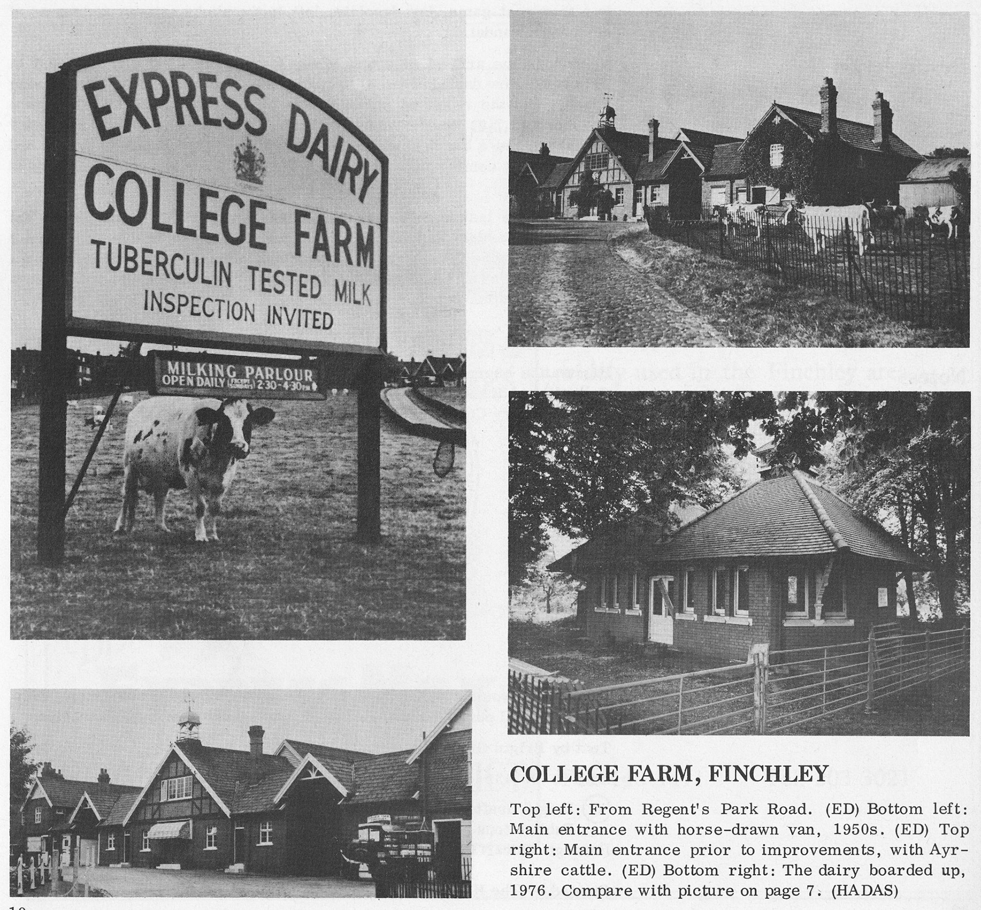 College Farm, Finchley - Illustrations from 'Milk for the millions'