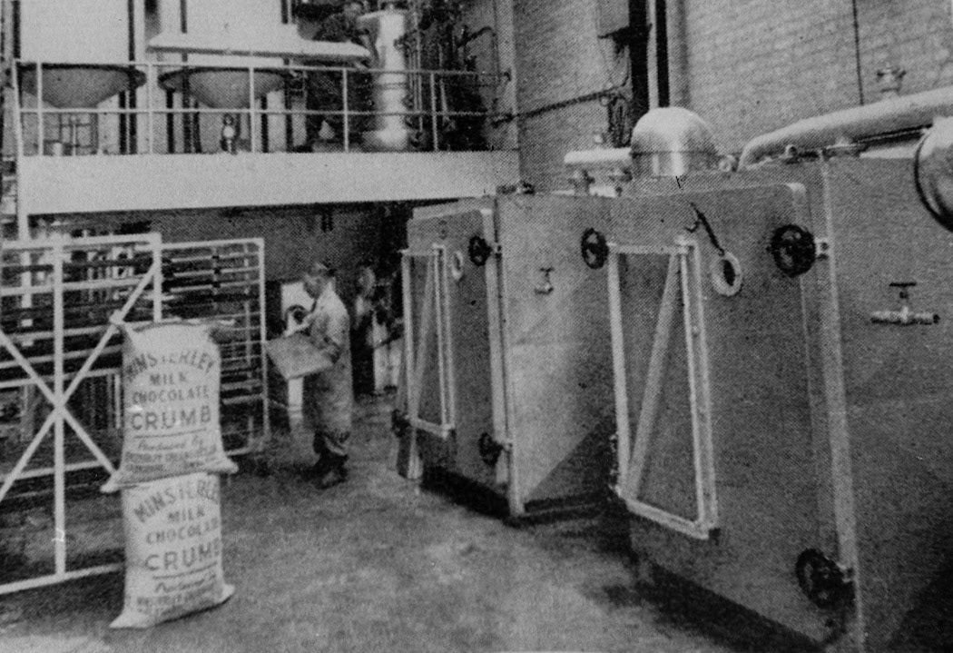 "Chocolate Crumb plant" (Courtesy Joe Lyons)