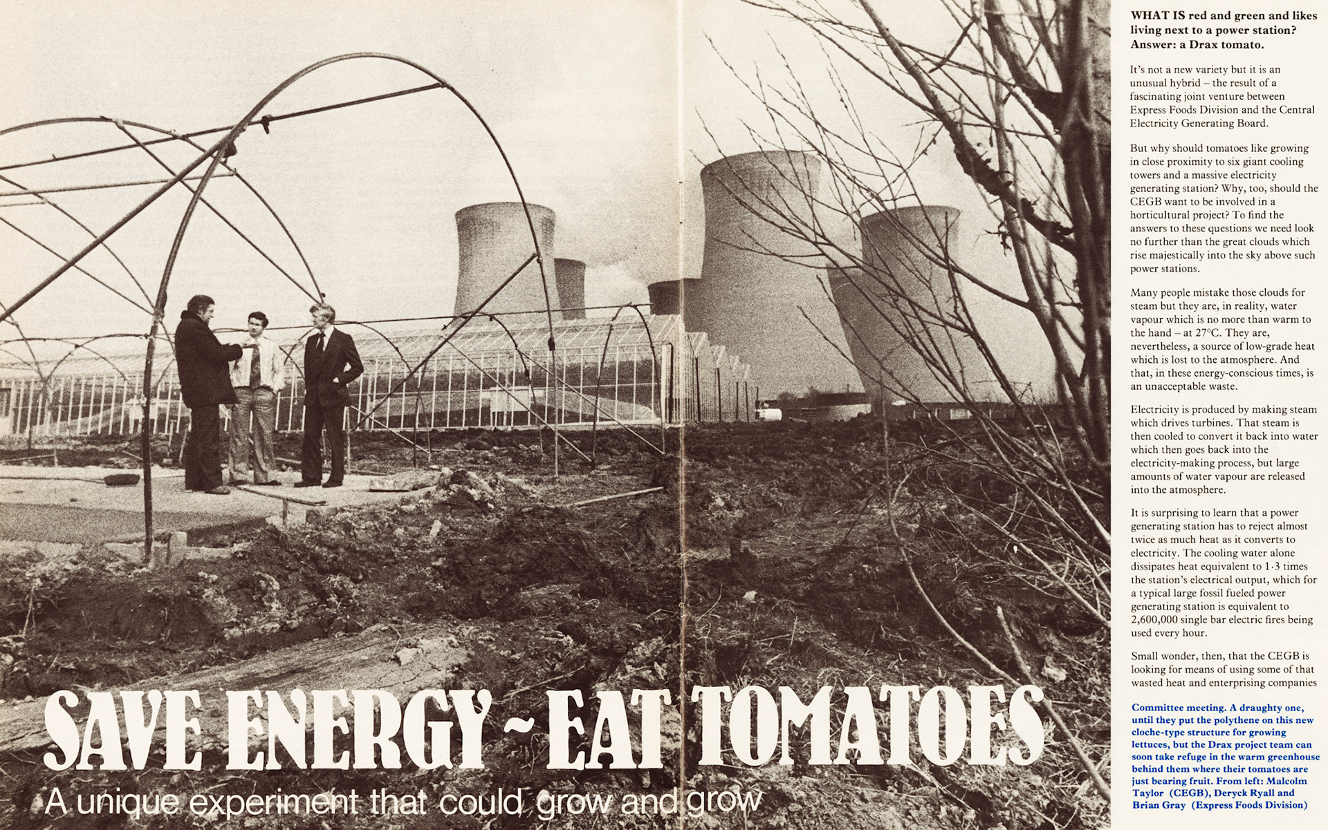 1979 Exel Horticultural project at Drax