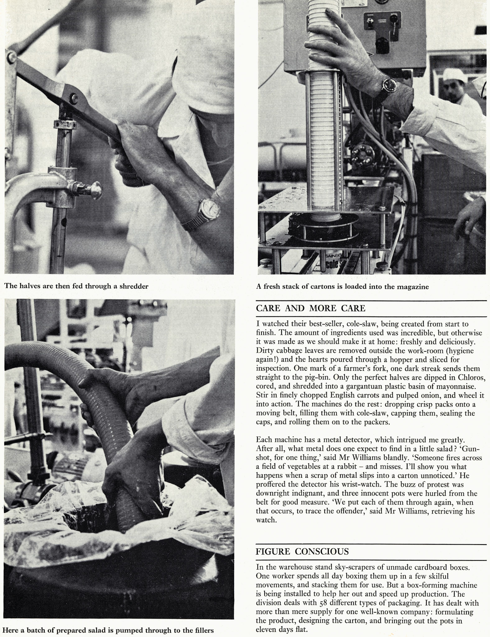 1971 The South Ruislip Cremanaze salads department before it moved to Milborne St Andrew in 1977 (Courtesy Doreen Williams)