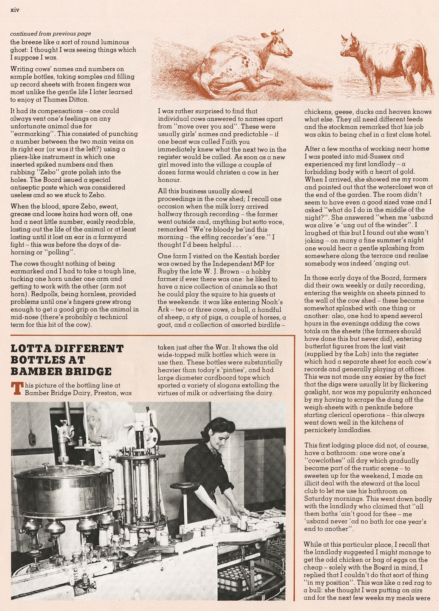 1983 Milmarbo Memories at 50 years (Insert in MMB Magazine, Sept-Oct, courtesy Andy Wallis)