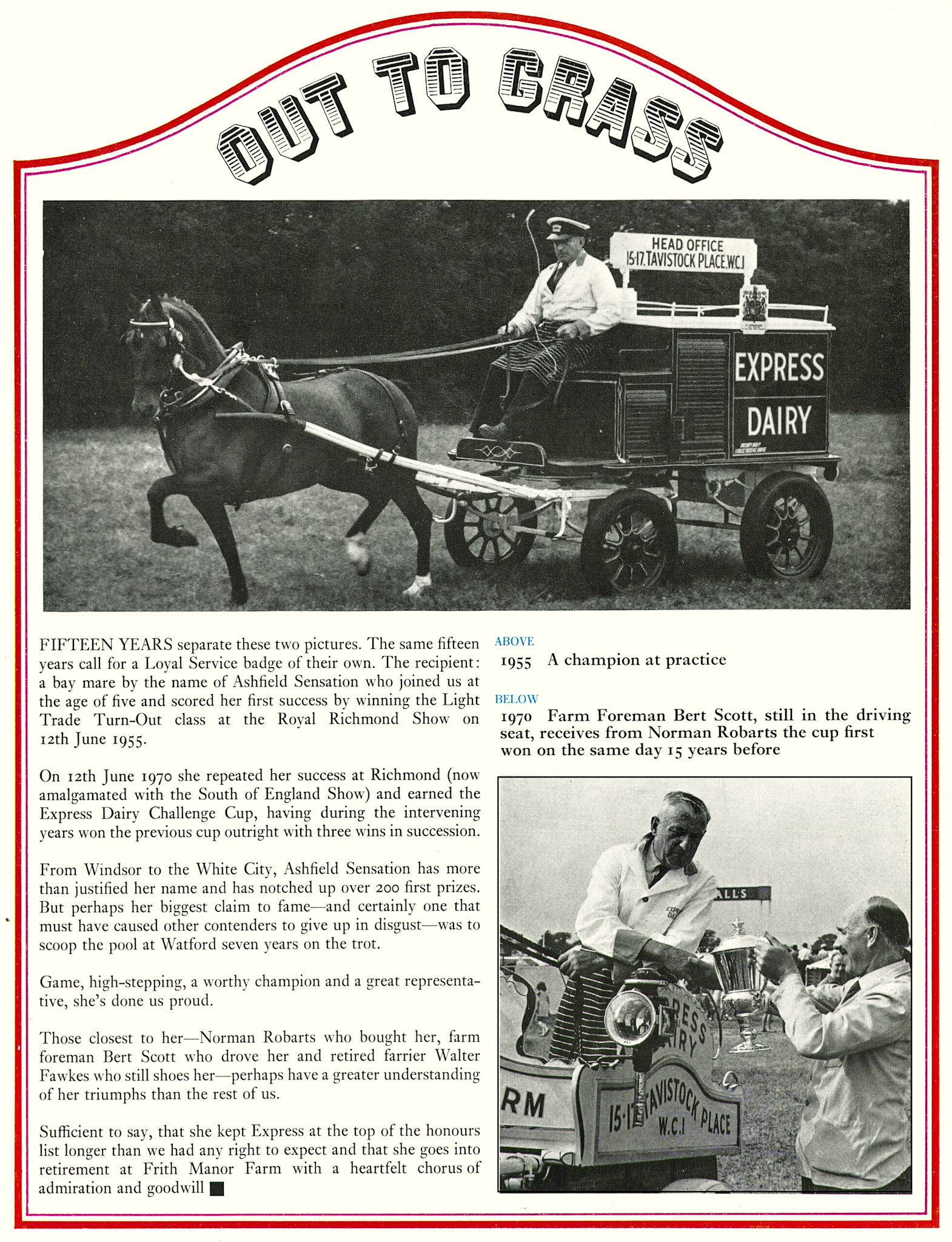 1970 'Ashfield Sensation' (known as 'Babs') about to retire to Frith Manor Farm, after ten years of success with Norman Robarts, Bert Scott and Walter Fawkes. (Express News Autumn)