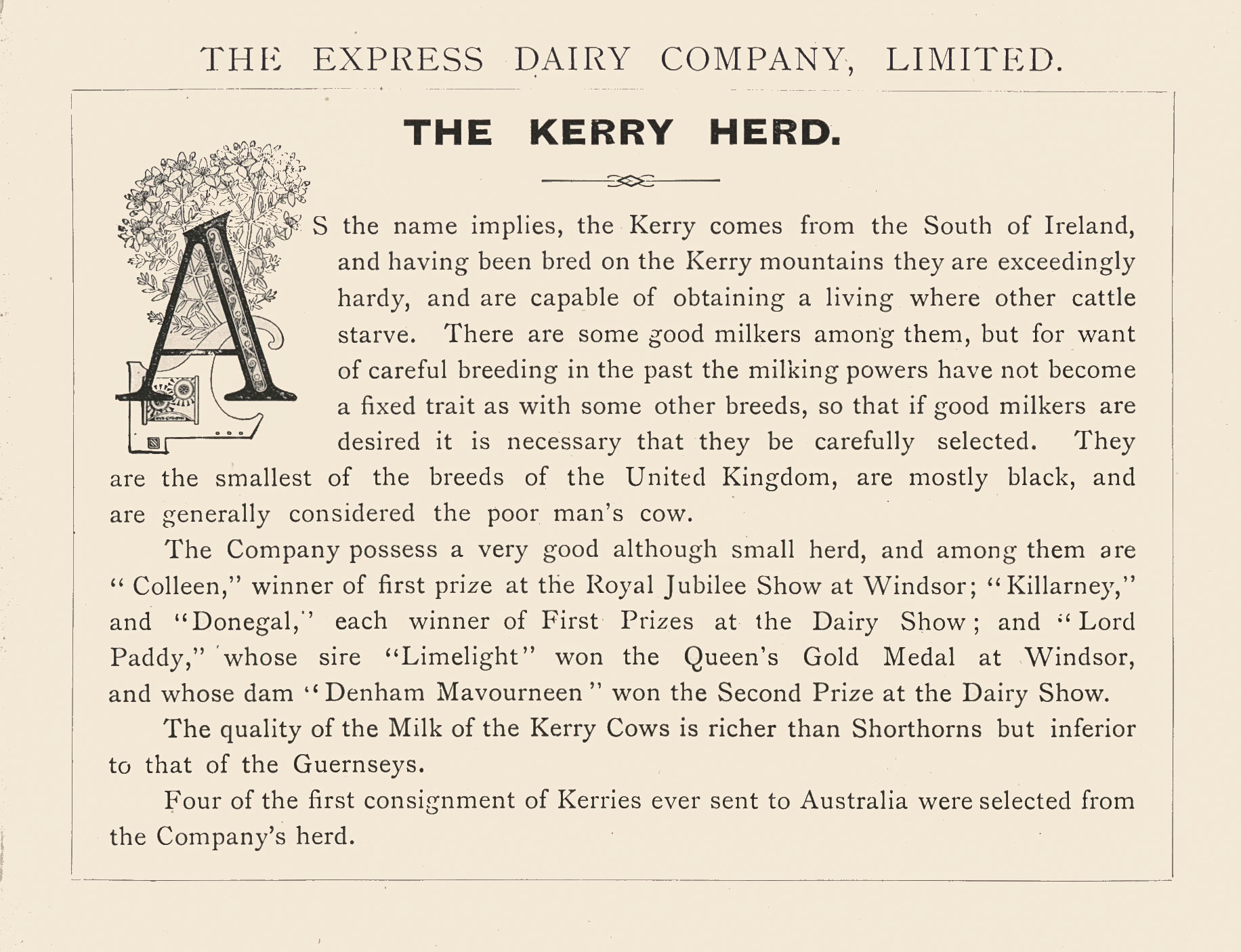 1893 The Kerry Herd, from 'Souvenir from Finchley' (Courtesy Brian Wastell)