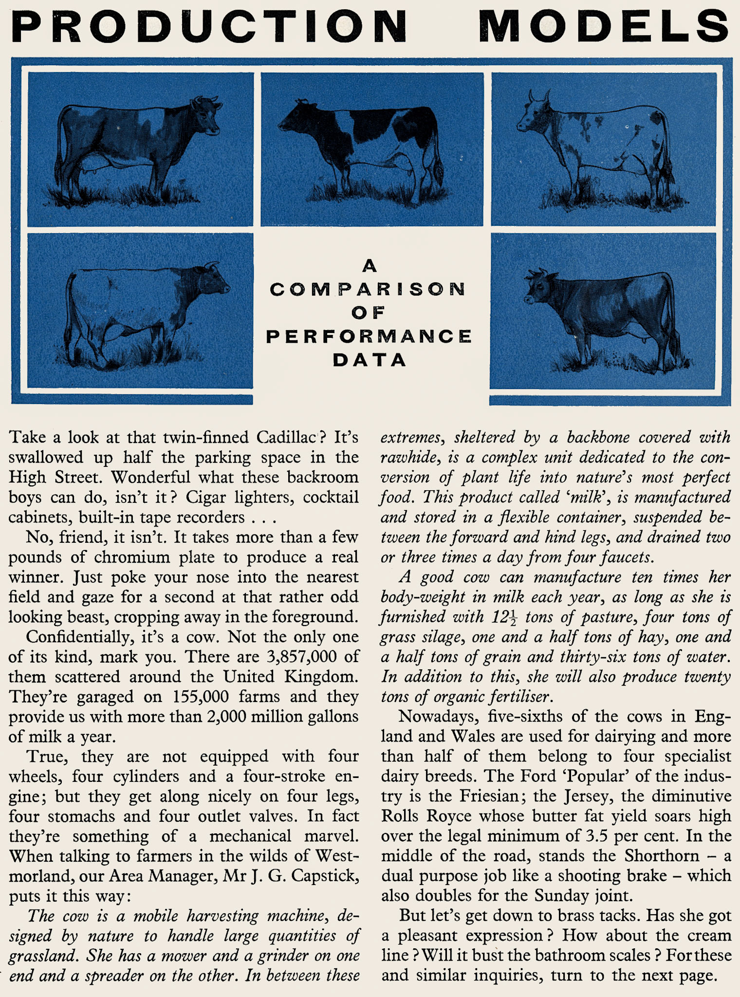 1960  Summary of dairy cattle breeds. (Express News Spring)
