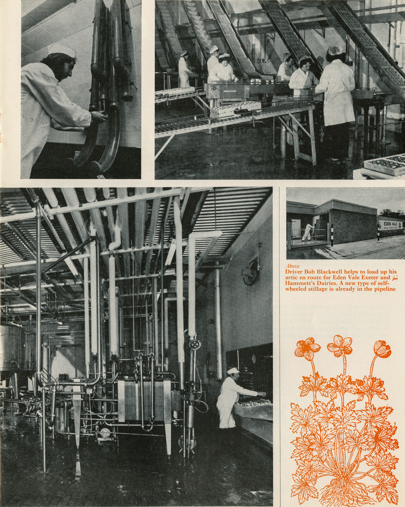 1973 Staplemead truck being loaded for Exeter and Hammetts