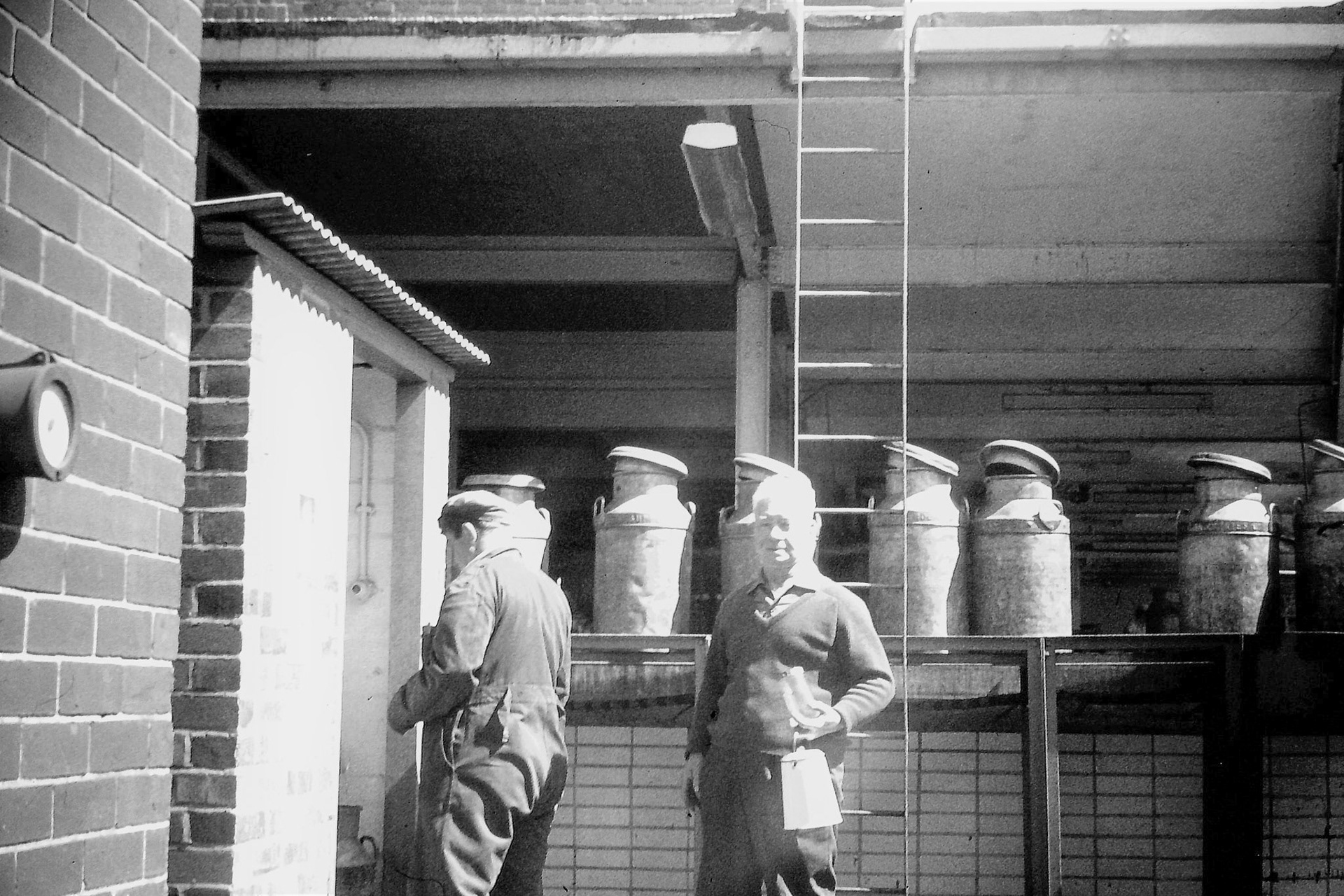 1960's Minsterley. Ian Perrin writes 'Dispensing milk to staff-when staying with my grandparents over the school holidays I liked taking this white enamel pot to a hut alongside the arrival deck and a lady would ladle milk out of a churn to fill up the vessel... cream too, sometimes!' Ben Samuels comments "the bloke in the hat is Roly Lakelin". Dave Jones comments "...remember that ladder just in front of the milk labs, that was the door to the Butter Room too".