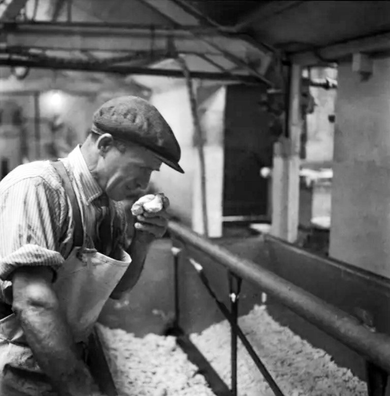 1953 Jack Wilding, head cheesemaker at Minsterley Creameries, who gains the MBE for boosting production 35% in the twelve Years he has held his position. He started with the firm as a boy 36 years ago. (Courtesy Mirrorpix)