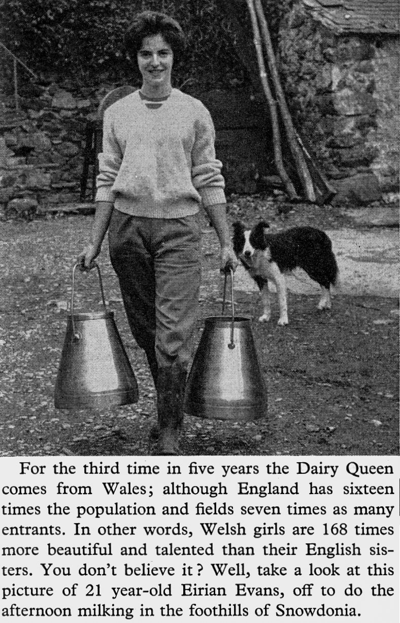 1960 New Dairy Queen Eirian Evans doing the afternoon milking. (Express News Christmas)