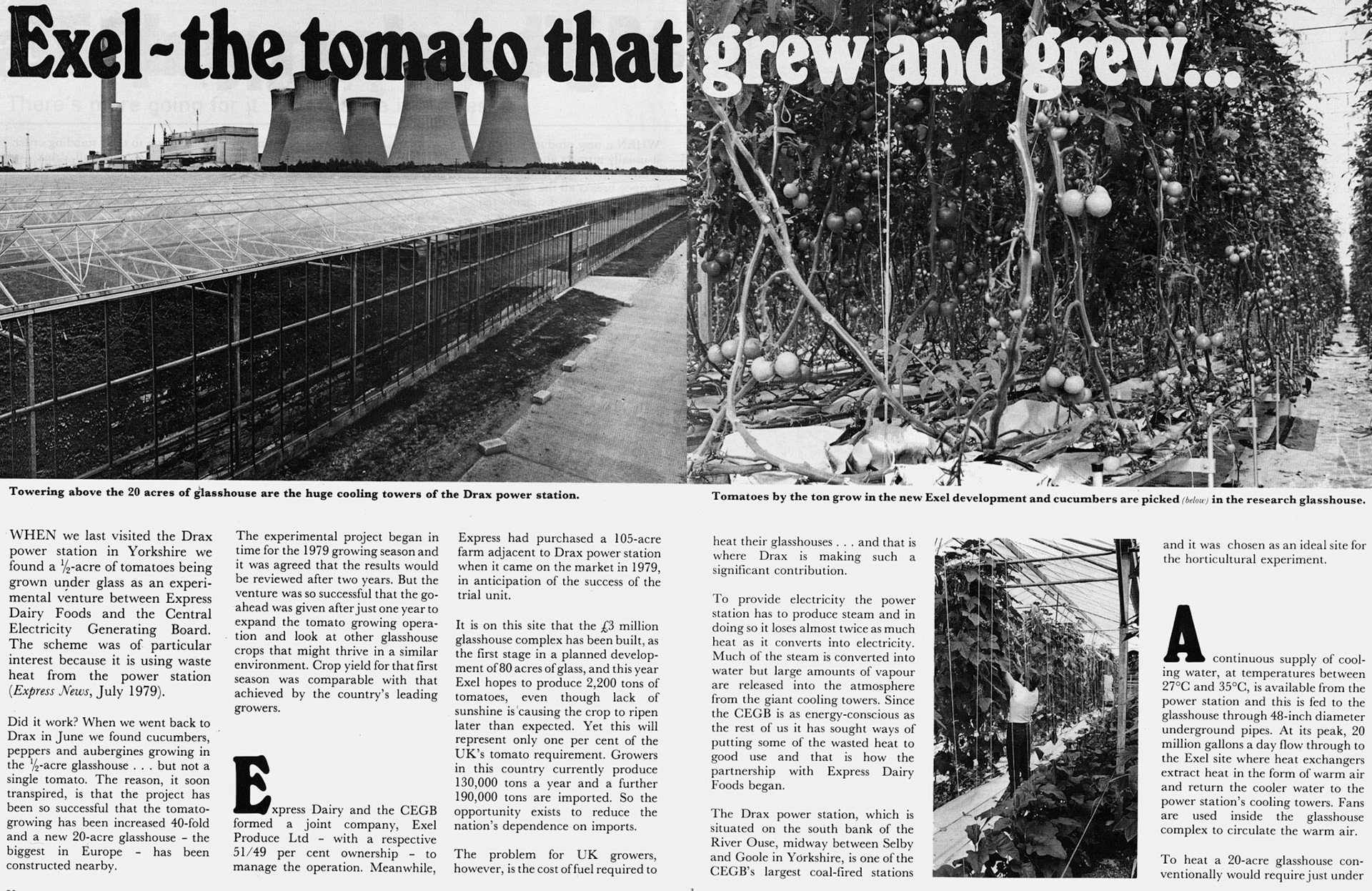 1981 Joint venture between Express and the CEGB is celebrated at the official opening of Drax glasshouse, as Exel.  (Express News July)