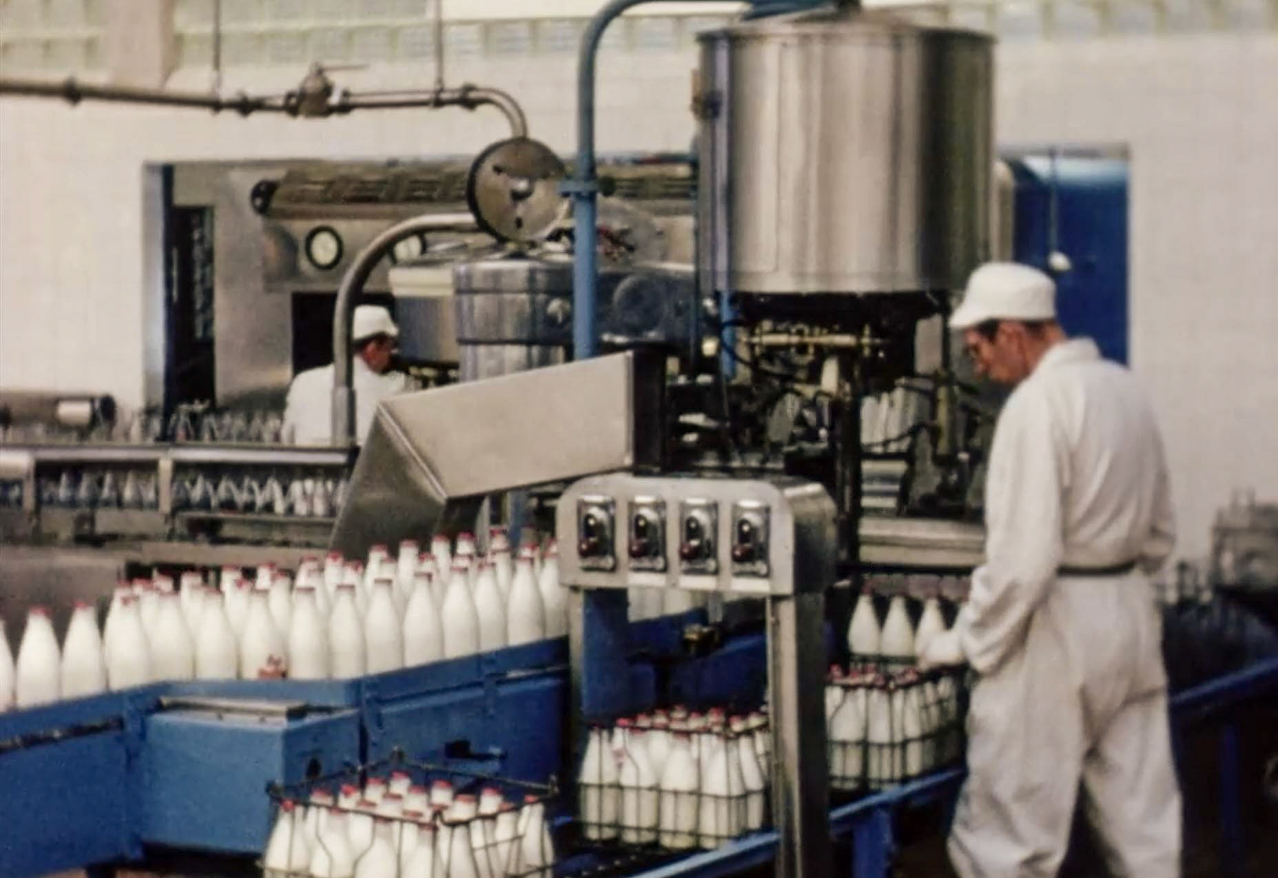 1954 South Morden Processing-recrating, into wire crates. (Stills from Express Dairy Film)