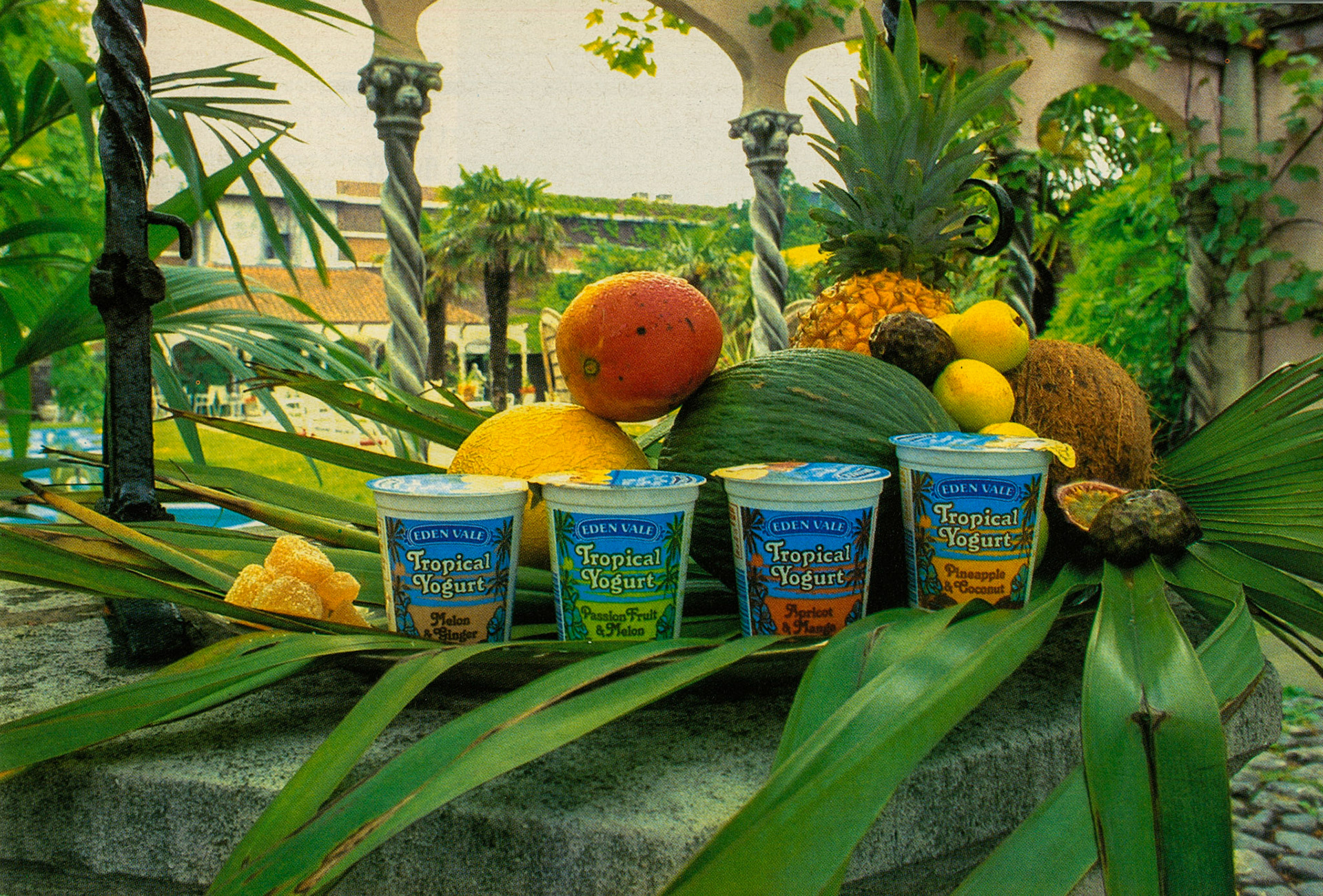 1982 Exotic Yogurt at Cuddington