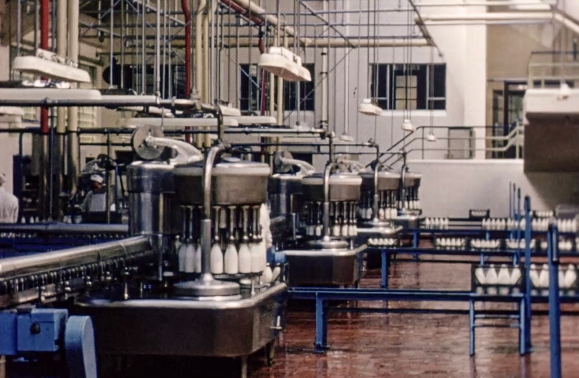 1954 South Morden Processing-bottle filling, four of the five lines in this picture. (Stills from Express Dairy Film)