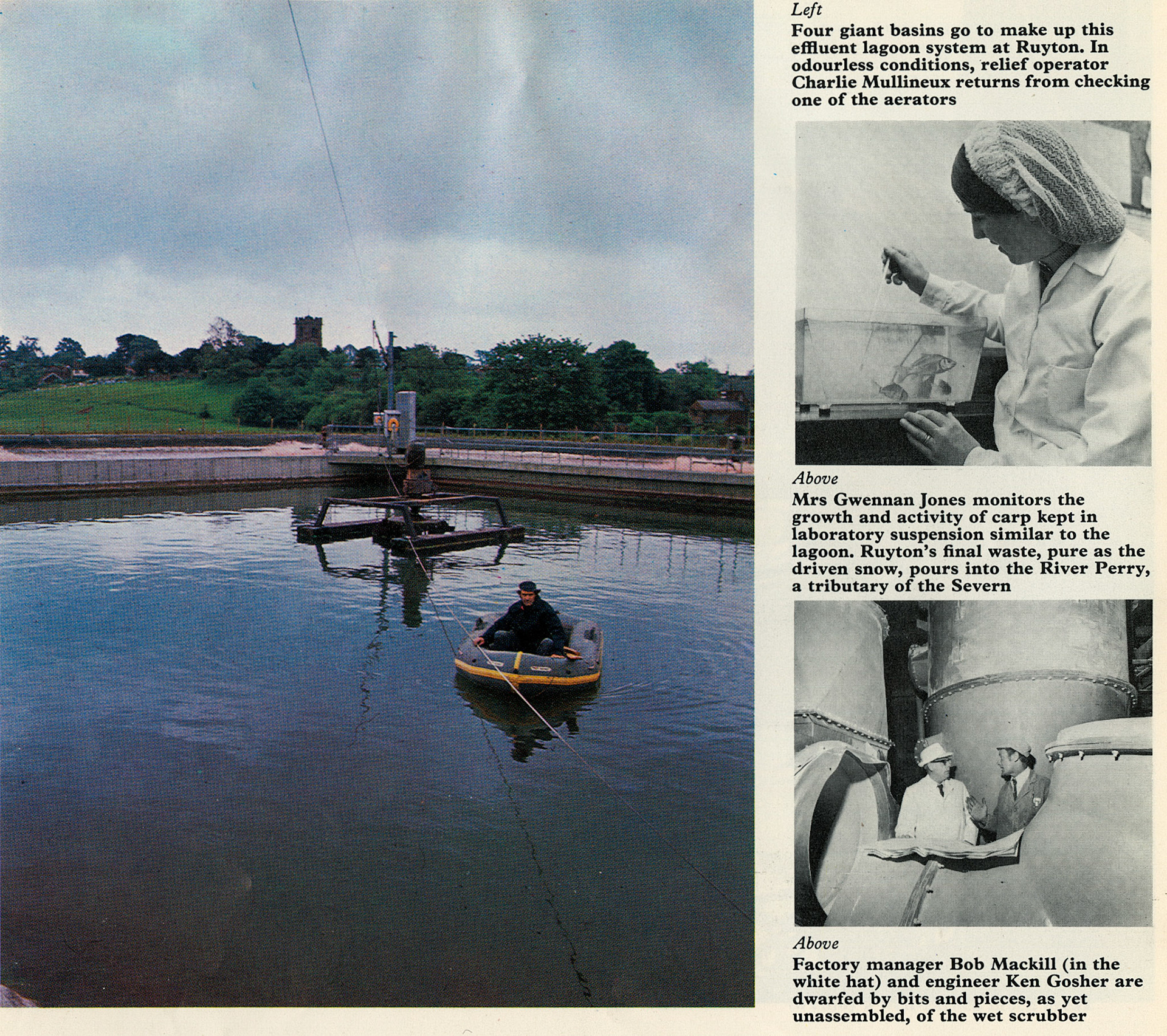 1975 Effluent Lagoon at Ruyton, with Charlie Mullineux in the dinghy, Gwennan Jones in the laboratory, and Factory Manager Bob Mackill and engineer Ken Gosher.