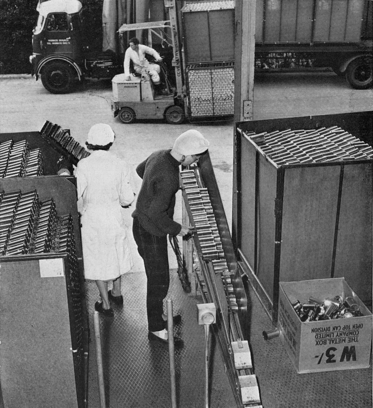 1963 Goldhanger Fruit Farm, Essex-decrating empty cans, up to 2.7m a week at peak times. (Express News Autumn)