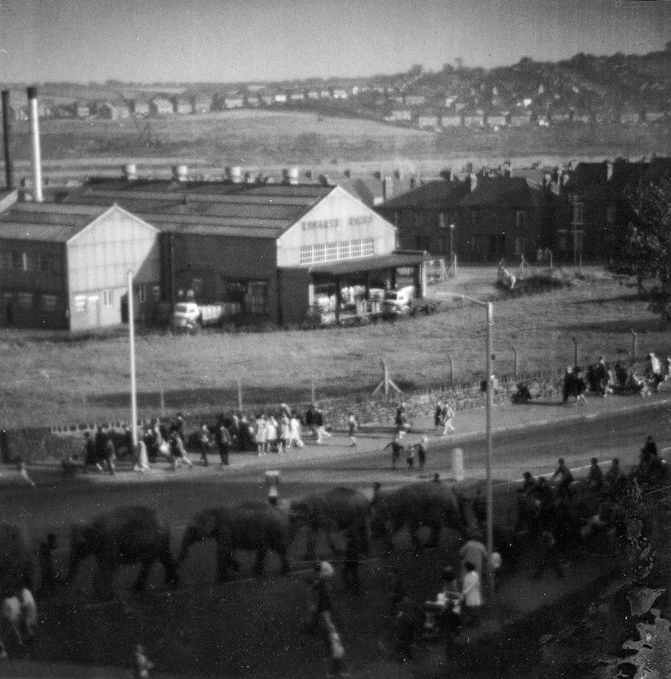 1963 Elephants on parade by Express Dairy, Chesterfield. Graham Finney remembers "During the holidays from Uni, I worked there and my future mother-in-law (Jessie Bates) worked in the small kitchen serving a ‘mean’ breakfast with lashings of butter on the toast. Wouldn’t be allowed nowadays but I operated the forklift truck moving milk around in the dairy yard, operated the milk bottle lifter, did stints on the bottle washer and the churn washer as well as quality checks on the filled bottles. Oh, happy days in my younger years from 18-21 (late 1950’s). The pay was good also. A couple of names I remember, Ken Moore and I think Harry Kane (not the footballer but the general dogsbody)." (Courtesy Kevin Wood)