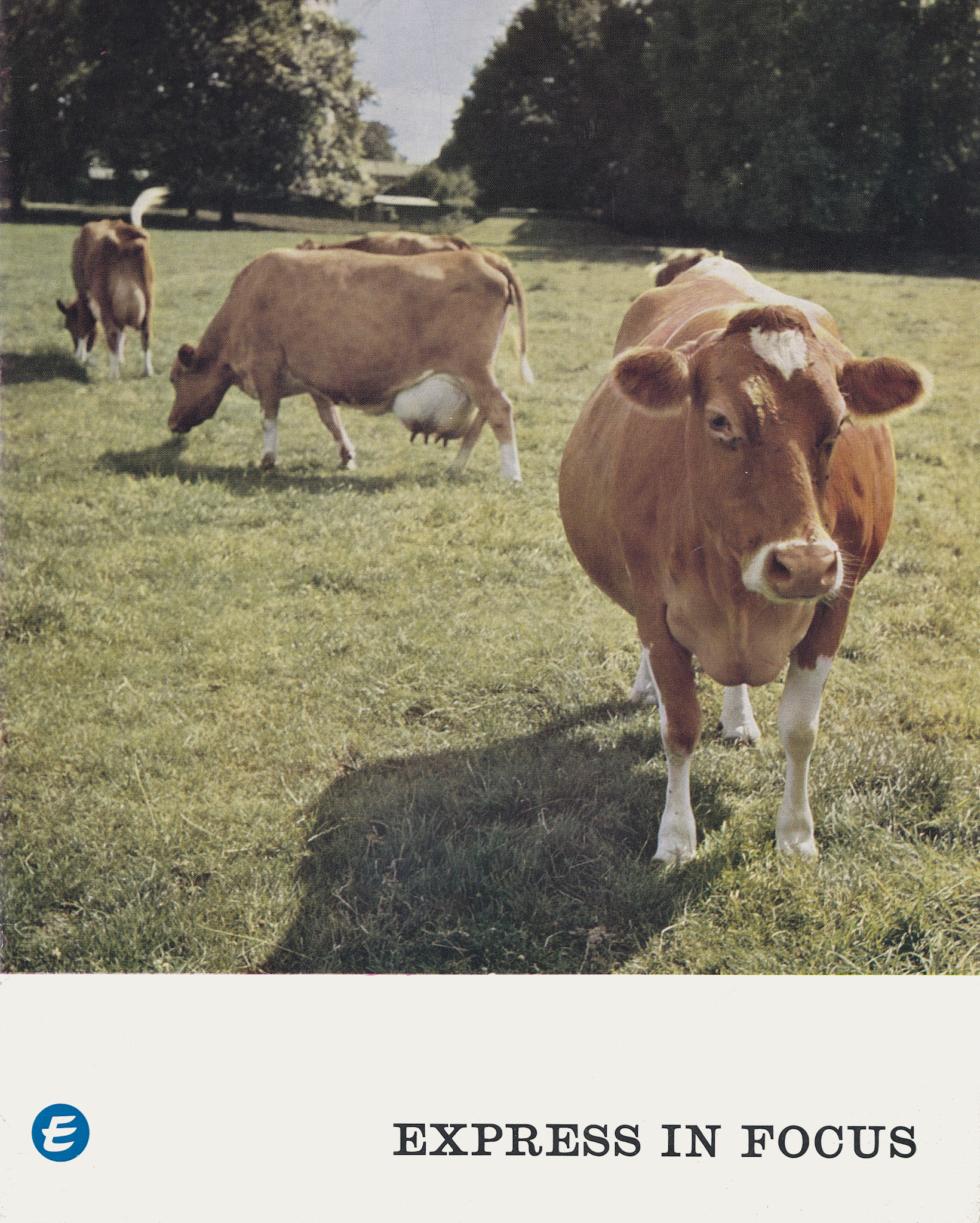 1964 Front Cover of 'Express in Focus (Courtesy Brian Rebbeck)