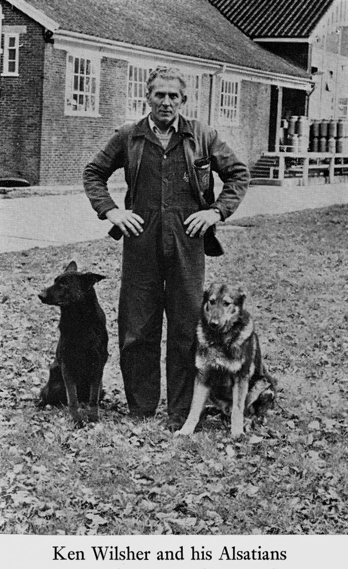 1971 Ken Wilsher includes playing the electronic organ and breeding and training Alsations amongst his hobbies, as a Milborne Churn Lorry Driver. (Express News Summer)