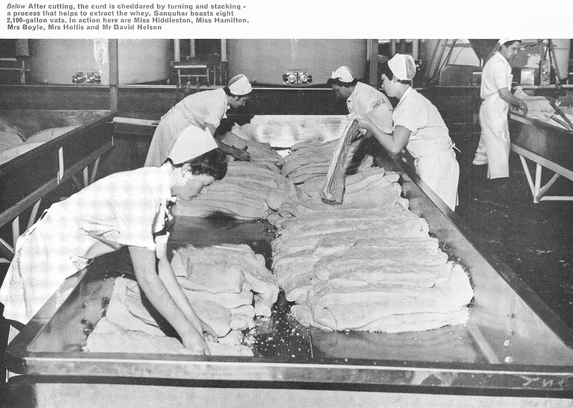 1967 Sanquhar Creamery. After cutting, the curd is cheddared by turning and stacking - a process that helps to extract the whey. Sanquhar boasts eight 2,100-gallon vats. In action here are Miss Hiddleston, Miss Hamilton, Mrs Boyle, Mrs Hollis and Mr David Nelson.