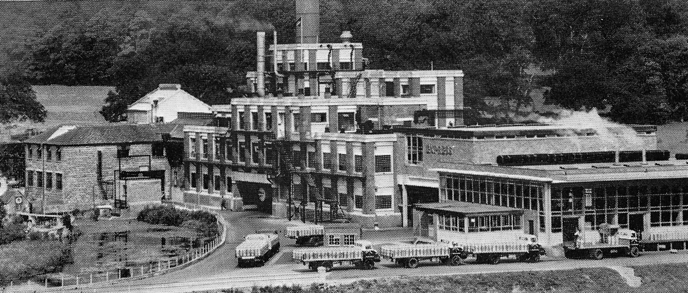 1964 Staplemead, from 'Expressly for you' customer leaflet. "Set in rural Somerset, Staplemead is one of the Company's many country creameries". (Courtesy Dave Fane)