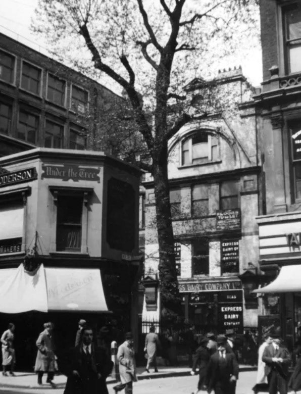 1930's Cheapside shop-a busy scene outside the Express Dairy. (Courtesy Mary Evans Picture Library)