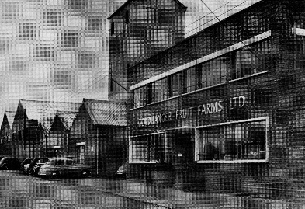 1962 Goldhanger Fruit Farms, Maldon, employed 250 staff. (Express News Christmas)