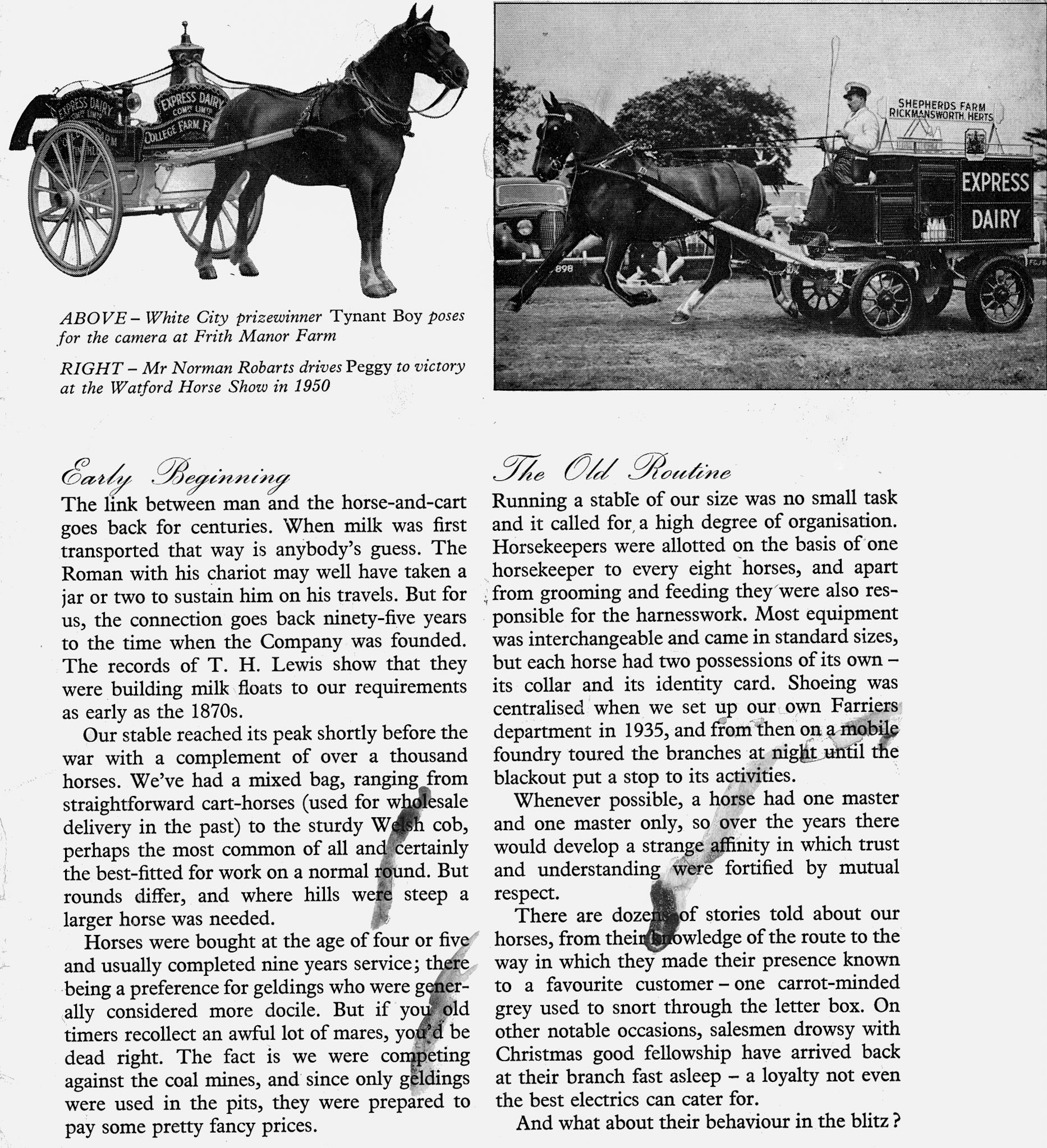 1959 'Farewell to the last horse-drawn milk round' (Express News October)