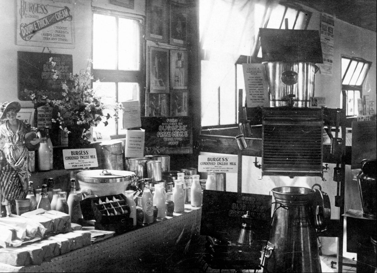 1926 Burgess Creamery, Dairy Shop interior, Gartside Street, Manchester (Image courtesy of Manchester Libraries)