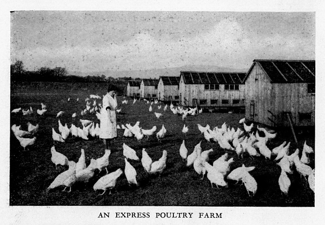 1954 Express Poultry Farm. (Express Salesman's Manual Fourth Edition)