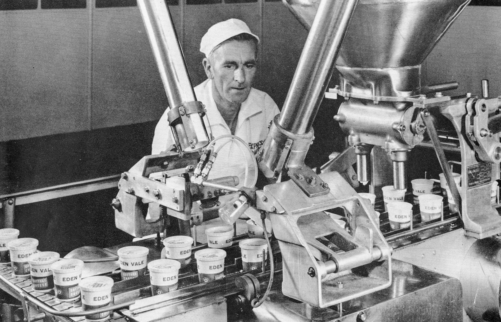 1960's Staplemead, Eden Vale cottage cheese production. (From Express Story 1864 - 1964)