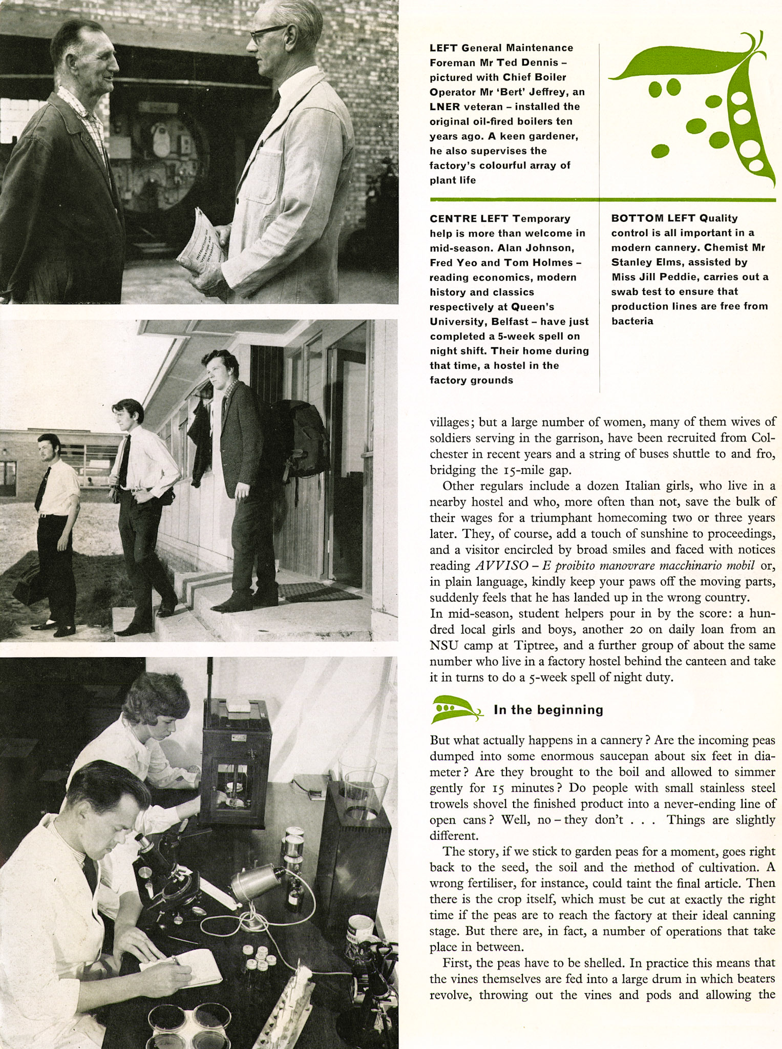 1963 Goldhanger Fruit Farm, Essex. (Express News Autumn)