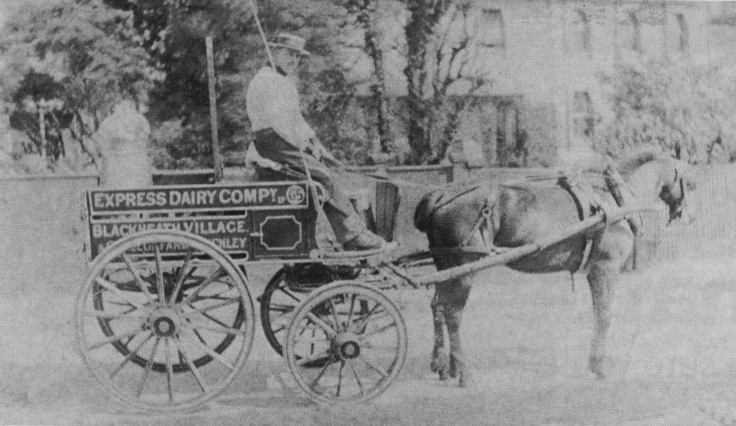 1892 Fred Waters with milk churn on his round in Blackheath