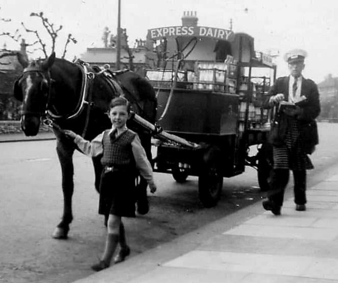 Horsedrawn delivery. David Levitt comments "Dad was a milkman with a horse and cart. His horse knew exactly where he was on the round and would stop outside a Sweetshop for some Polo Mints and later on the bakers for his daily bun and he wouldn’t move until he got it. He would walk the round and the horse would follow him but you had to be careful as it knew when it was at the last stop and had to be held back going back to the yard. They changed over to electric floats and dad was really upset when the horses were removed as he knew they weren’t going off to a sunny field." (Courtesy FB Growing up in my Britain was Great)