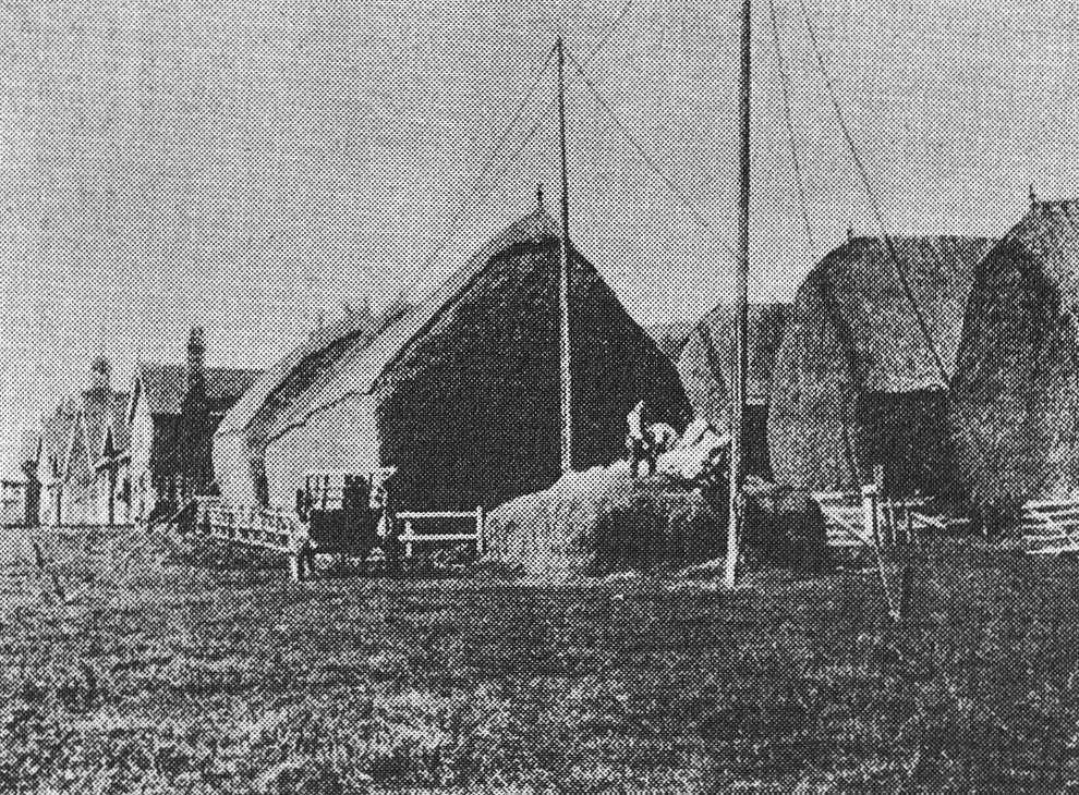 1893 College Farm Stack Yard- Illustration from 'Milk for the millions'