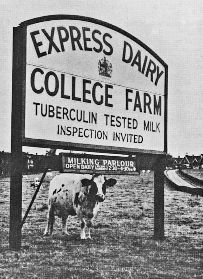 College Farm, Finchley