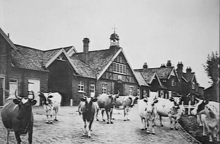 1880 College Farm was turned into a model dairy, where experimental techniques were tried, including bottling of milk. (Express 125 Years video still)