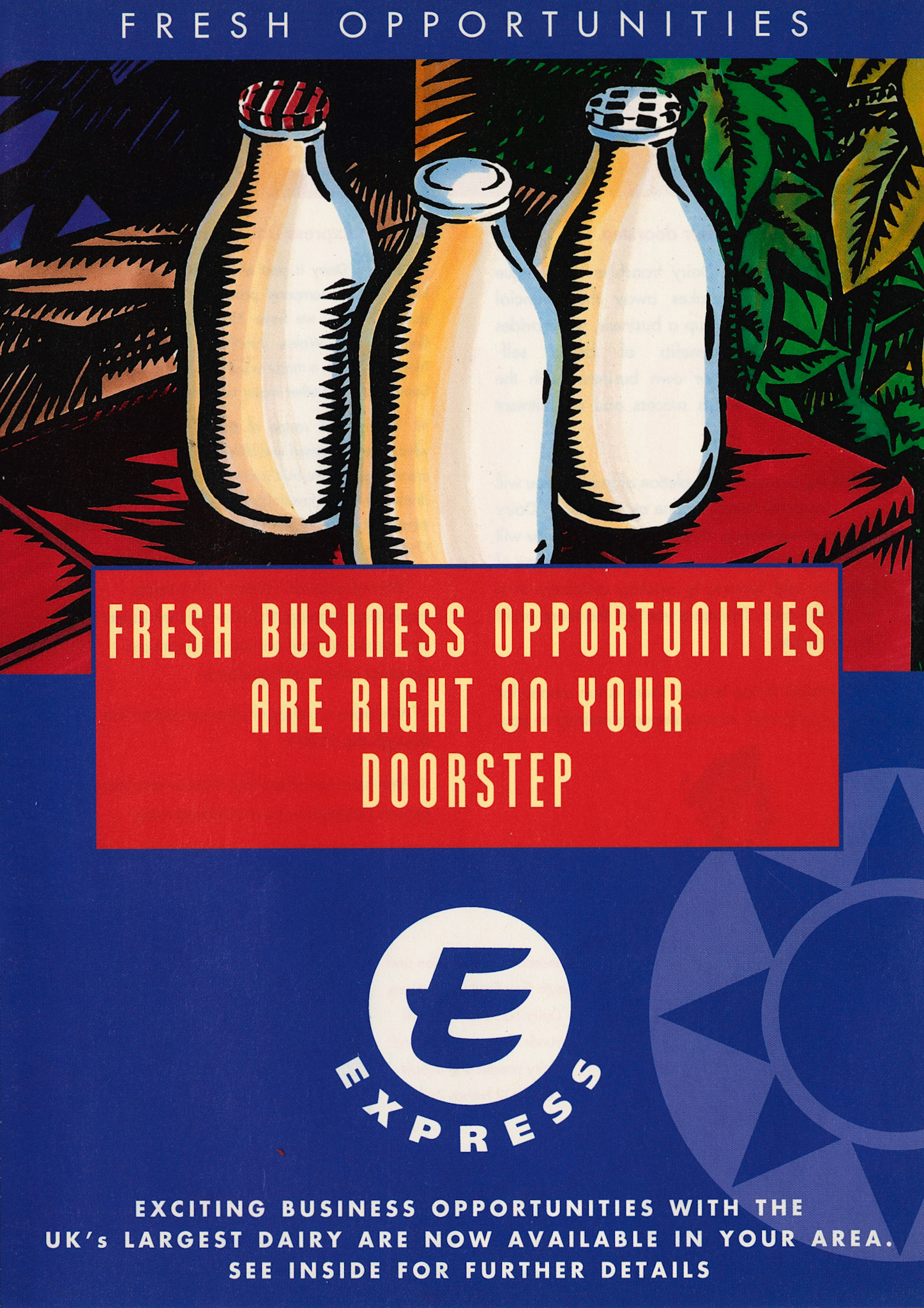 2001 Publicity Leaflet-Franchise Opportunities, Page 1 (Courtesy Dave Fane)